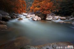 【十二星座】5月，喜从天降，牛气冲天，事业持续攀升，好消息不断的三个生肖