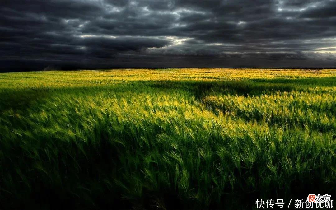【十二星座】5月，喜从天降，牛气冲天，事业持续攀升，好消息不断的三个生肖