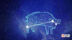 【十二星座】“12星座怎样谈一场永不分手的恋爱？”（顶级理解）