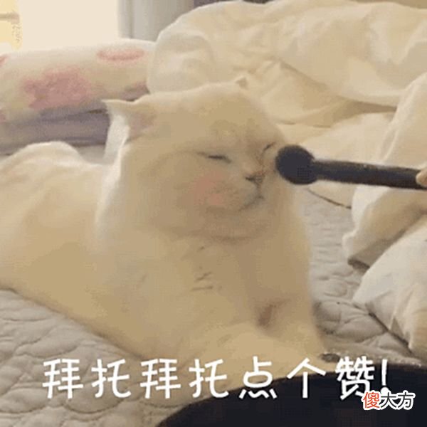 【游戏迷】阴阳师SP八岐大蛇技能重做！堕化机制引入，友方行动损失24%生命