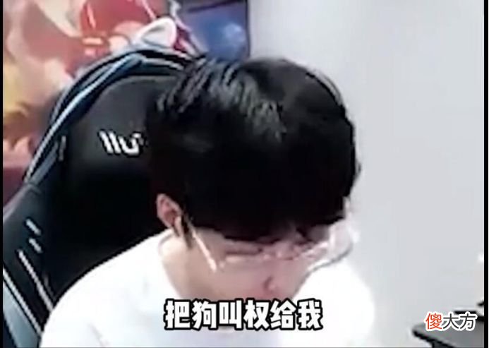 【游戏迷】王者荣耀：树叶直播讲述职业选手经历，和易峥同过队