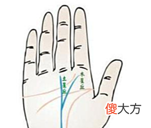 【爱历史】有这种手纹的人,不是人中龙凤就是皇帝命,早晚能成大器