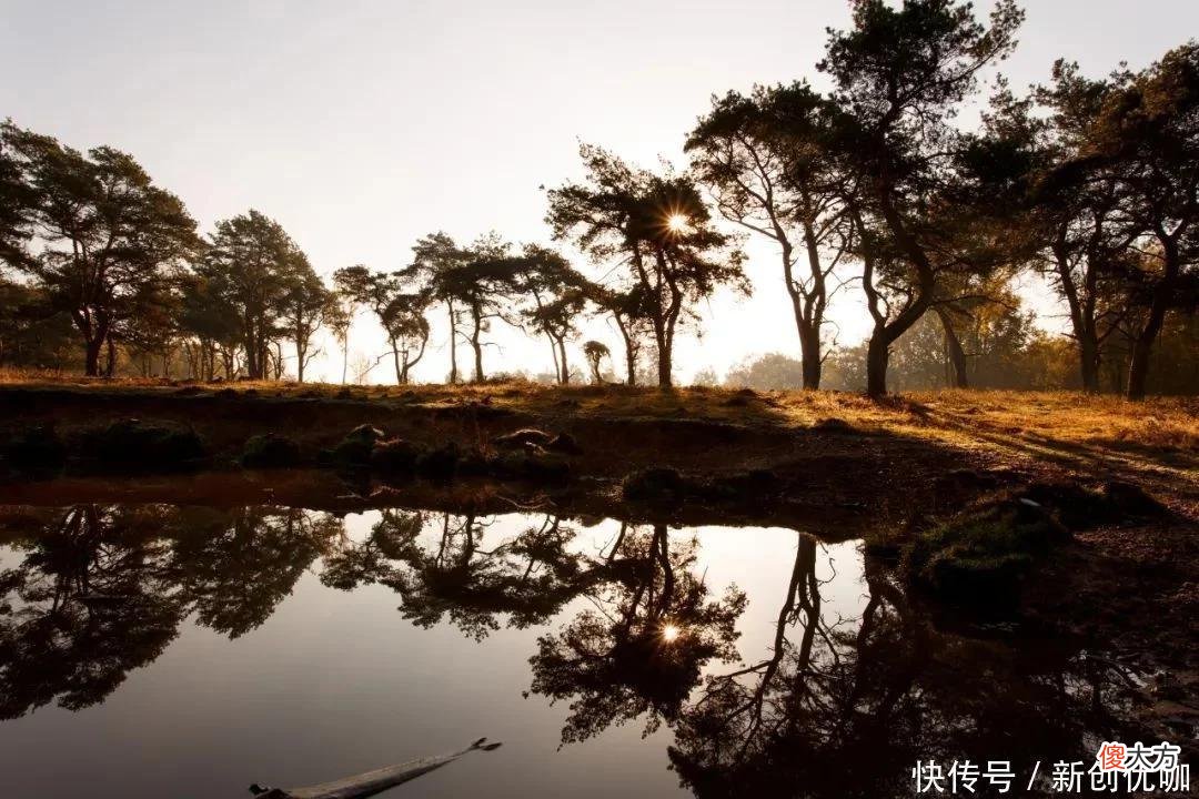 【十二星座】5月，冥冥中有好运眷顾，多金多福，存款翻番，富有且高贵的生肖