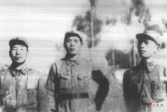 【历史故事】1940年八路军错判情报，伪军变日军精锐，全歼日本‘贵族之花’