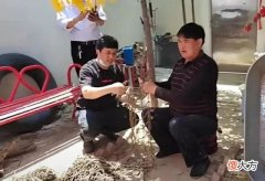 【就爱时尚】朱小伟陪陈萌试婚纱，4套婚服优雅端庄，手上宝石戒指抢镜