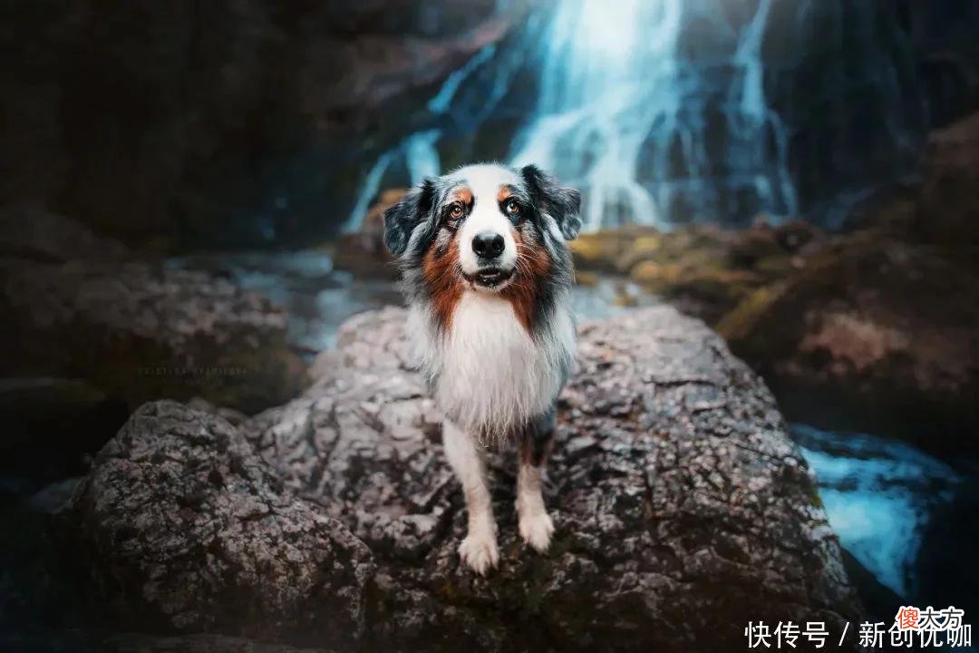 【十二星座】2022年，厄运消散，前途光明，一路添财添福，平安顺遂的三个生肖