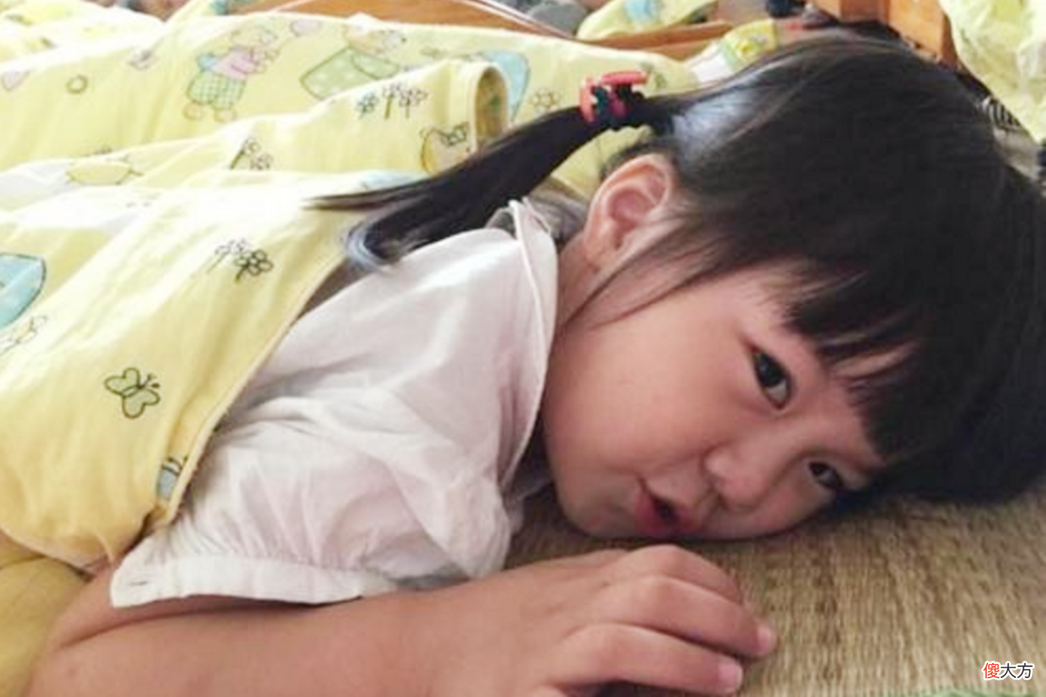 资深幼儿园老师：通常不肯在幼儿园午睡的孩子，往往是这几类娃