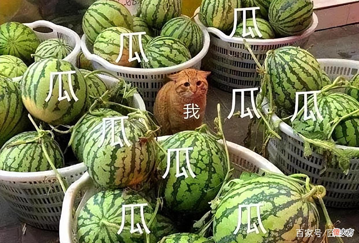 【游戏世界】2022KPL春决后，未央现身AG训练赛！AG双打野阵容，初晨或被放弃