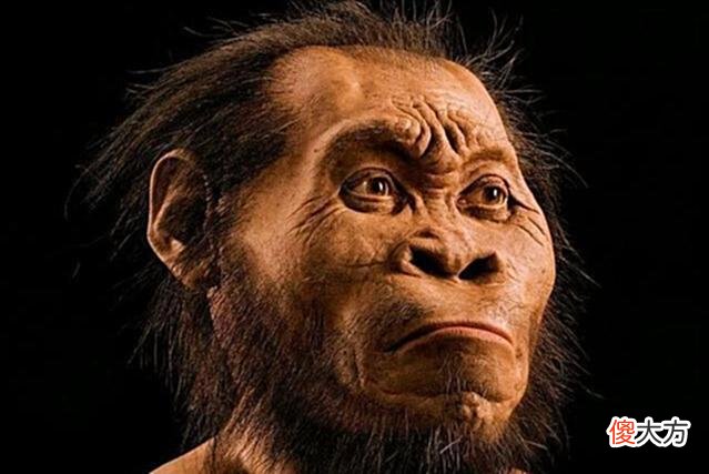 【历史故事】了解中国历史的源头——古代文明和古代人类