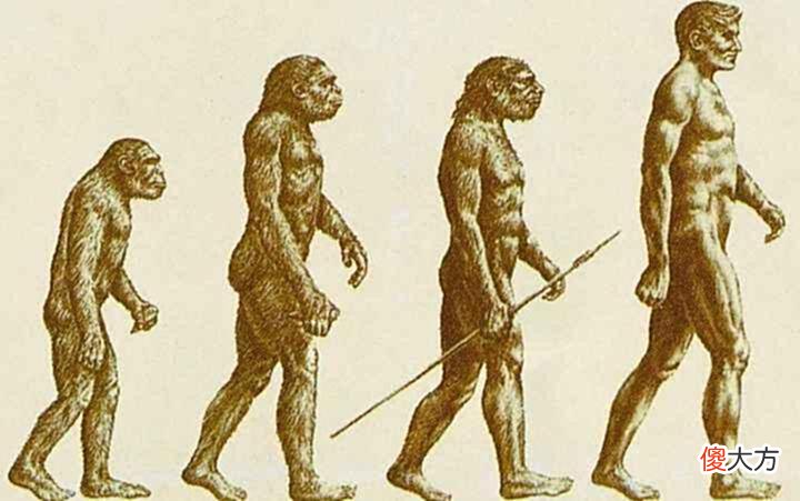 【历史故事】了解中国历史的源头——古代文明和古代人类