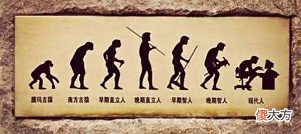 【历史故事】了解中国历史的源头——古代文明和古代人类