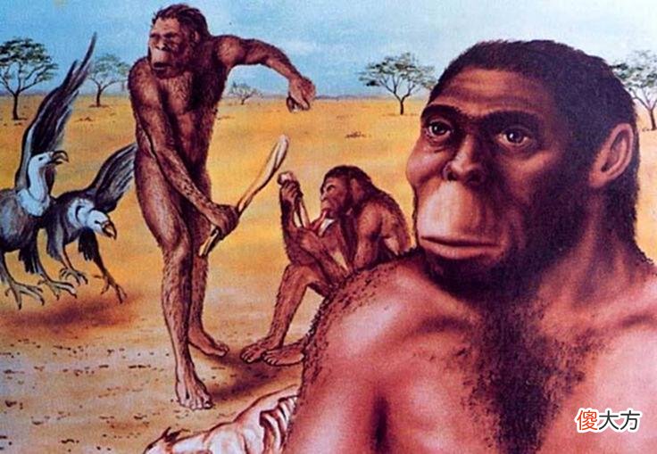 【历史故事】了解中国历史的源头——古代文明和古代人类