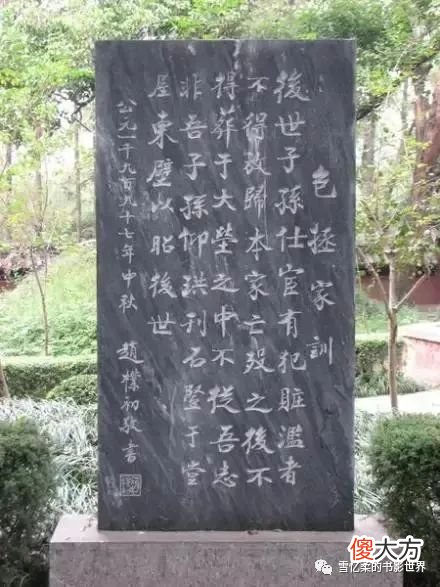 【历史故事】棺椁是金丝楠木，尸身严重汞超标，立下疑冢的包拯经历了什么？