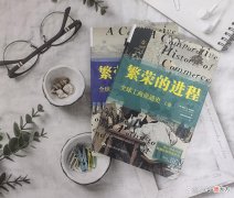 【爱历史】《繁荣的进程》工商业的诞生、繁荣与未来