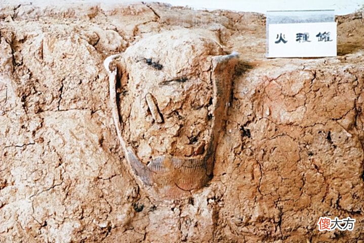 【爱历史】古人保存火种有火种罐,鄂伦春人保存火种有妙法,可以存一天时间