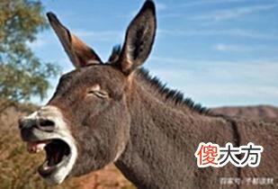 【历史故事】犹太人告诫：越是成功的人，越会在这5个方面坚持，不妨看看
