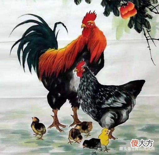 【星座控】六月成了锦鲤，4生肖喜气洋洋，是哪4种生肖？