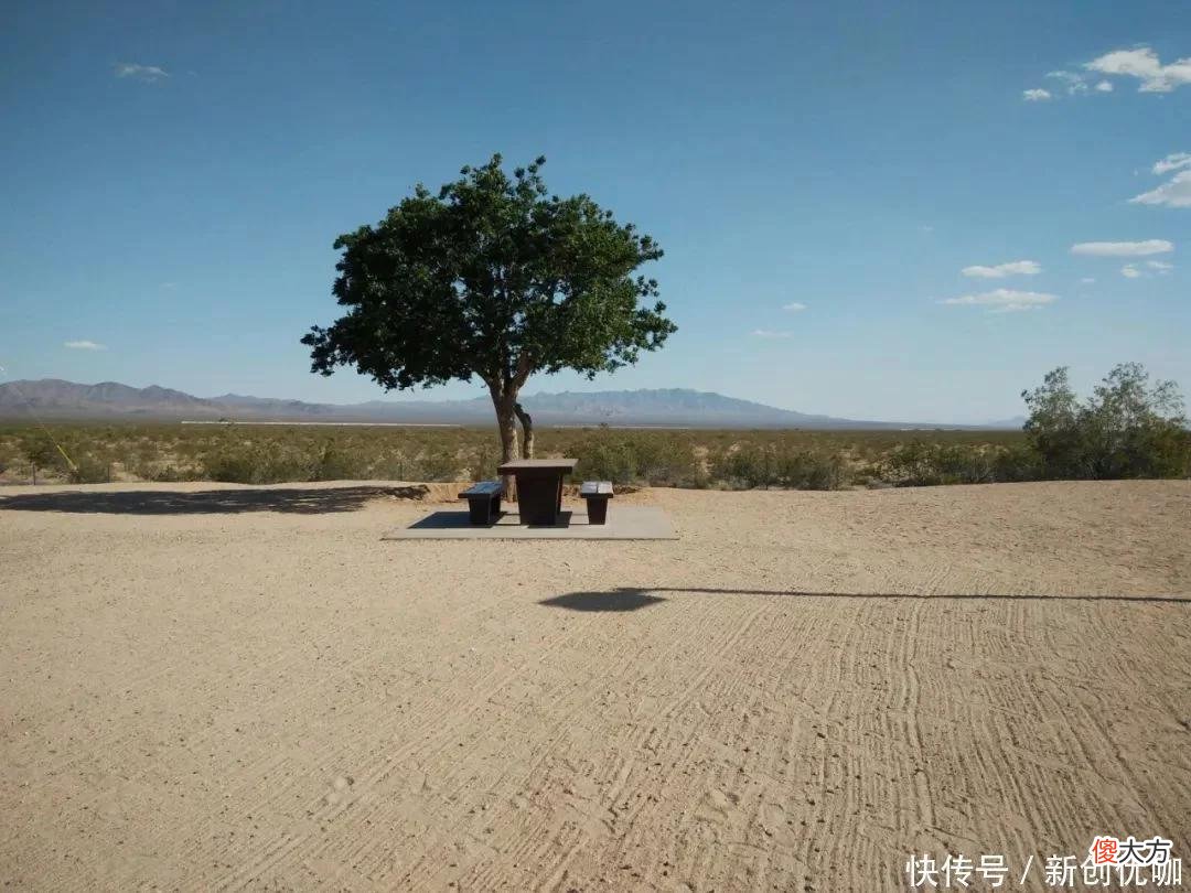 【十二星座】5月喜鹊登门，桃花运眷顾，爱情花开不谢，好消息频传的三个生肖