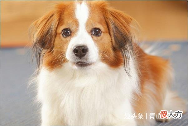 【十二星座】最近会有好事发生的三大生肖，看看有你吗？