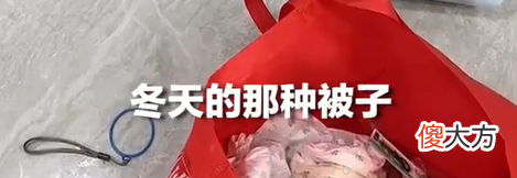 13岁男孩独自封控66天养胖猫狗，值得我们炫耀吗？