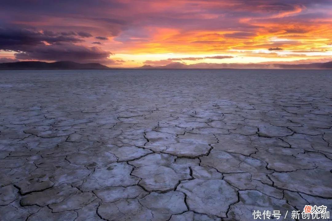 【星座控】2022年感情运势上上签，爱神眷顾，前任回头，坠入情网的三个生肖