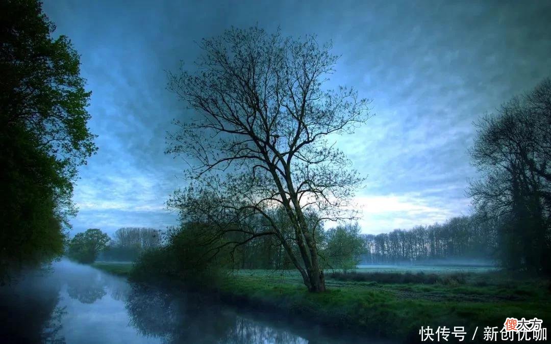 【星座控】5月，桃花运当头，爱情花开，喜鹊报喜，从此幸福甜蜜的三个生肖