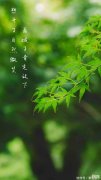 【就爱时尚】50岁+的你，要拒绝穿“奶奶装”！今夏学她这样穿：不装嫩也很美！