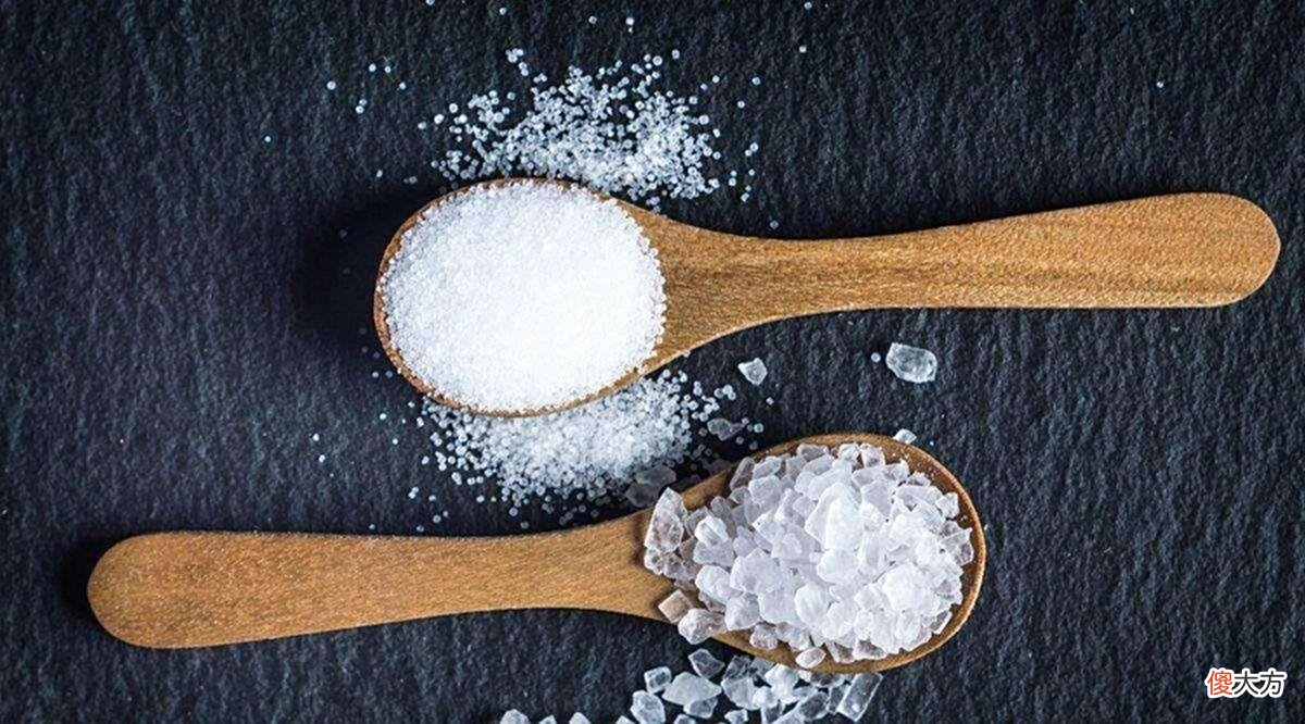 【历史故事】宋朝时期所实行的榷盐制度,了解其形成原因对后世的影响