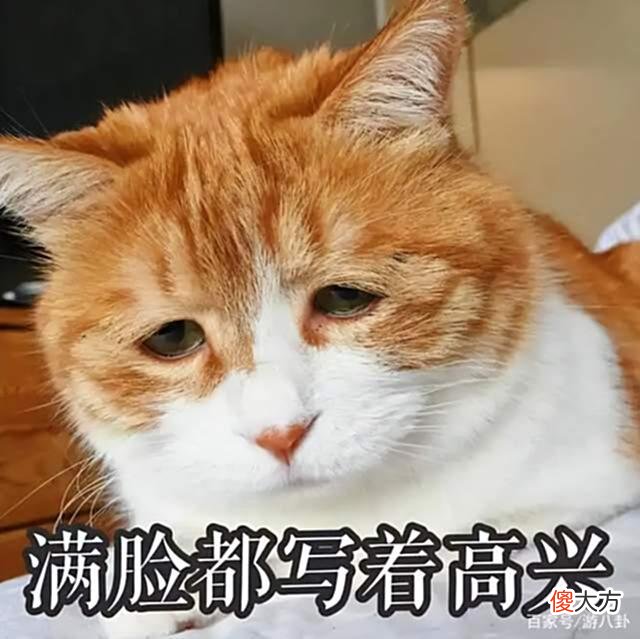 【游戏世界】和兄弟聚餐花的太多，被老婆扣零花钱，竟然靠一款搬砖游戏翻了身