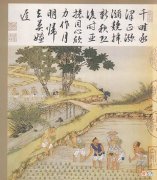 【爱历史】康乾盛世靠的是番薯吗？你不知道清朝皇帝培育高产稻米吗？