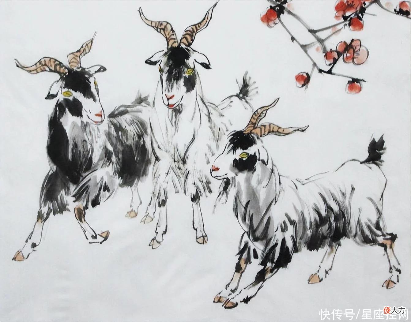 【星座控】今年大有可为，四生肖福气旺盛，第二季度衣食无忧，有钱心情好