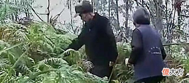 【历史故事】1967年男子因病去世,37年后却突然“现身”家中,亲人都不敢相认