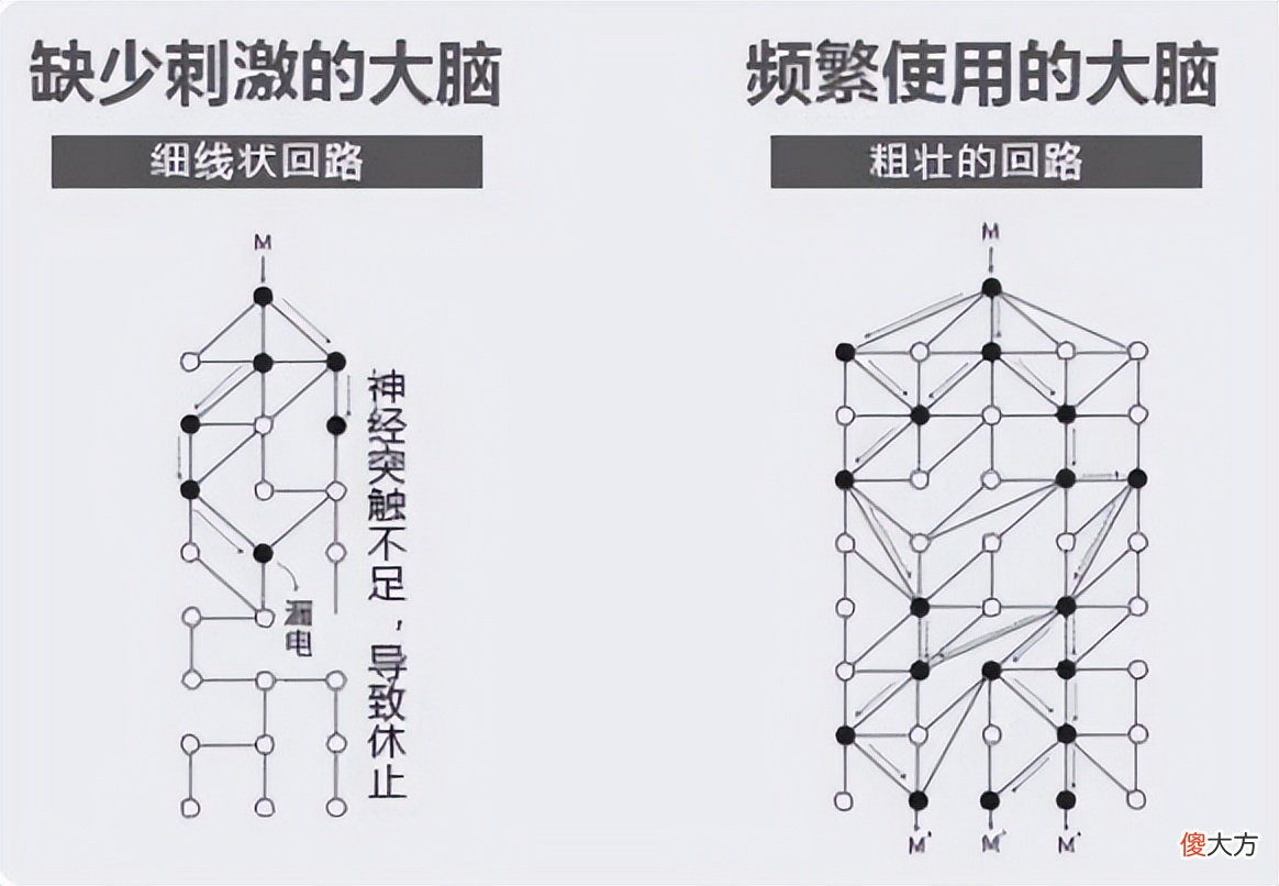 浙大教授奶奶用一个游戏，让3岁孙子玩出超强专注力，方法简单