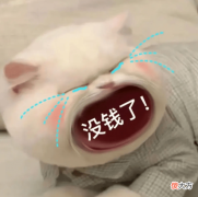 【游戏迷】如何看待《泰亚史诗》里的搬砖党？