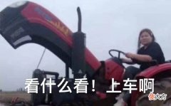 【游戏世界】游戏名梗解析：敌羞吾去脱他衣
