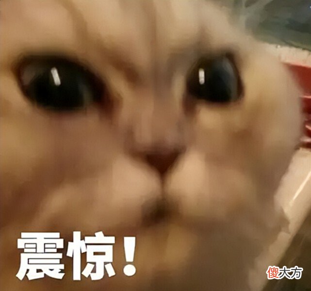 【游戏迷】逆水寒手游号称要“颠覆”！实机画面曝光，全网惊了：它来真的？