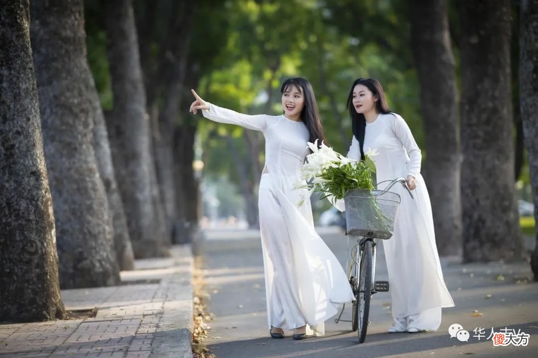 【历史故事】越南小姐姐身上的奥黛，为什么越来越贴身性感？