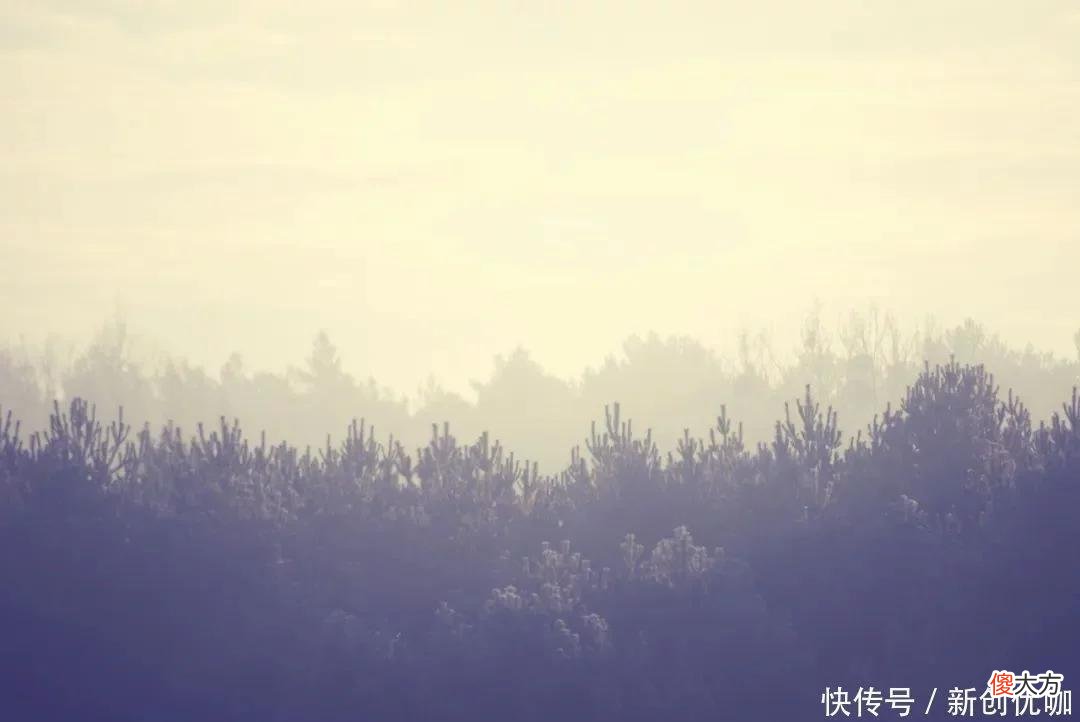 【星座控】2022年，贵人云集，抬头见喜，好消息不断，生活乐滋滋的三个生肖