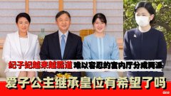 【历史故事】纪子妃越来越霸道，难以容忍的宫内厅分成两派，爱子又有希望了吗