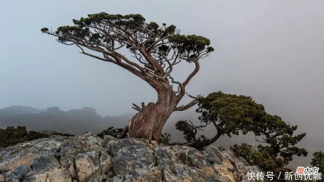 【星座控】明年，志在必得的三个生肖，勇往直前，贵人撑腰，一本万利