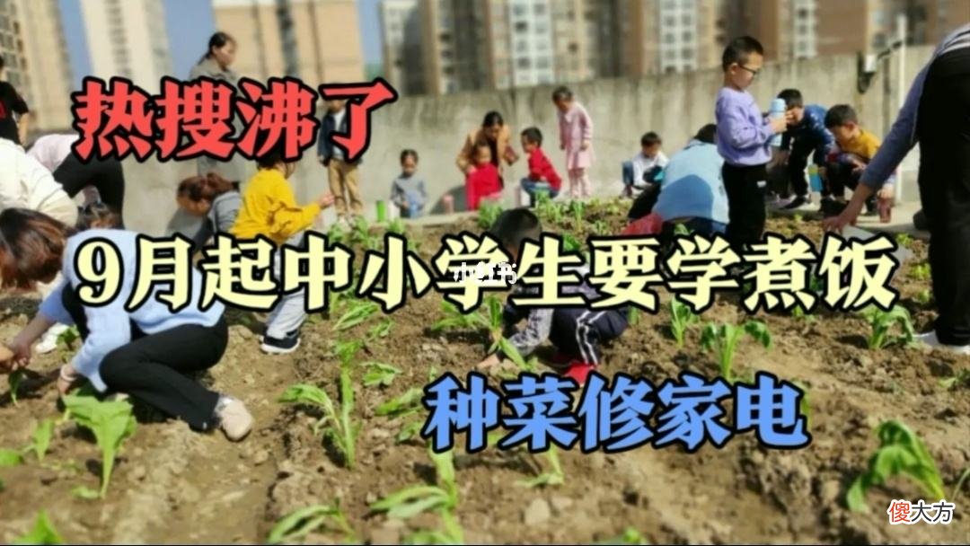 教育部：今年9月起每个中小学生要学做饭种菜修家电，家长你怎么看