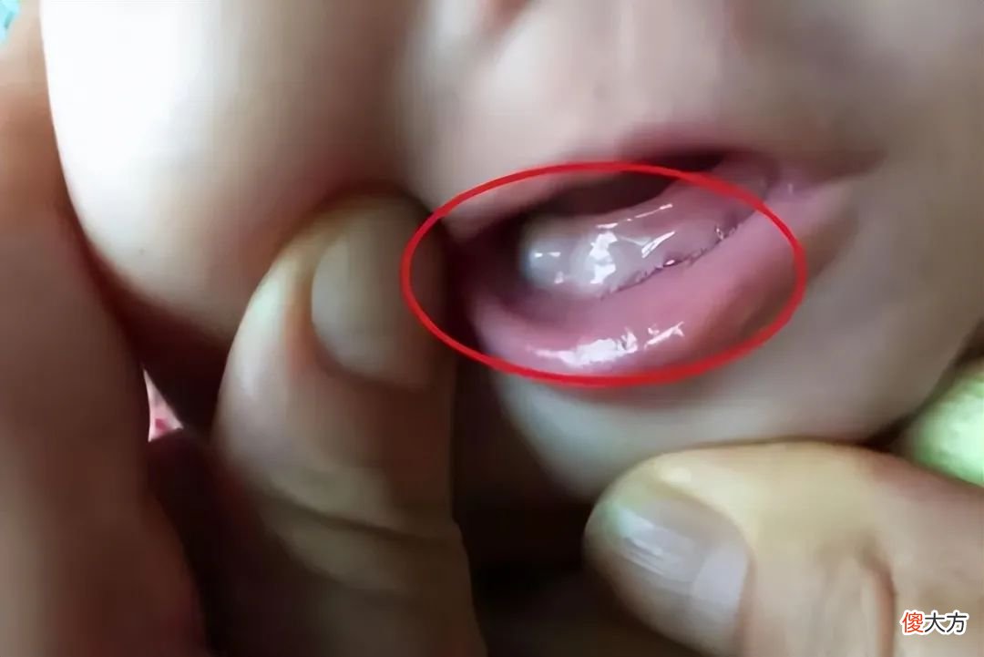 6个月是宝宝发育的分水岭，妈妈牢记5个养护重点，娃发育快人一步