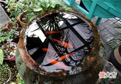 【爱历史】和珅打造22口“纯金缸”,八国联军强行刮掉表层黄金,现痕迹仍在