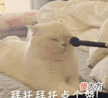 【游戏世界】明日方舟5月联合寻访开启:4缺3可捞!8月夏活和11月限定提前准备