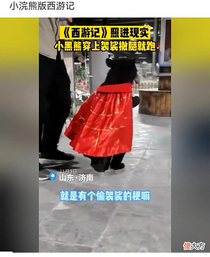 【爱历史】神回复:太子只要不想当皇帝,他干什么都行