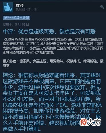 【游戏世界】《林中小女巫》登陆steam获特别好评88%