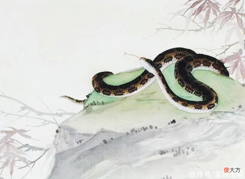 【十二星座】2022后半年，四生肖衣食无忧，满面春风，升职再加薪