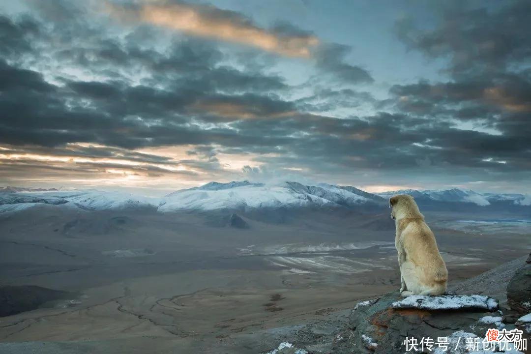【十二星座】2022年，出门贵人多，喜讯频频传，一帆风顺，大吉大利的三个生肖