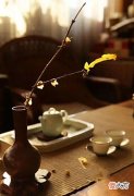 【爱历史】茶界四痴！论带货能力，丝毫不输抖音网红！
