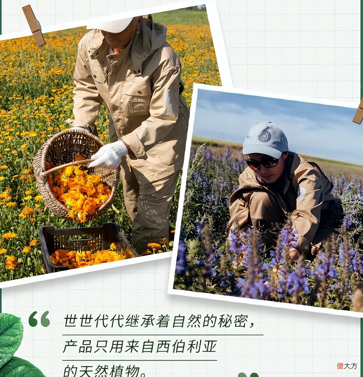 【时尚一点】建议女生：如果“不差钱”，遇见这些化妆品可以多囤点，真心好用